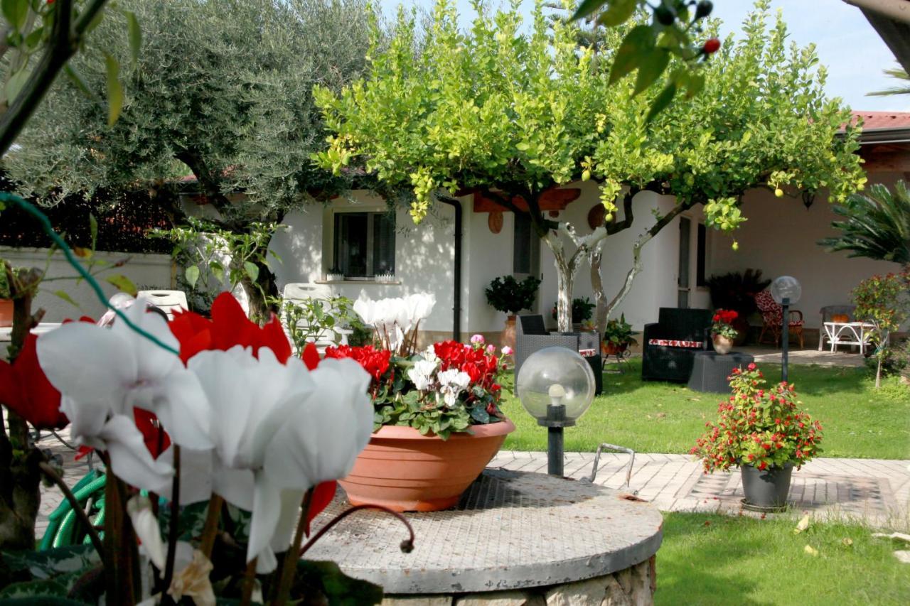 Villa Cecilia Bed And Breakfast Cellole Dış mekan fotoğraf