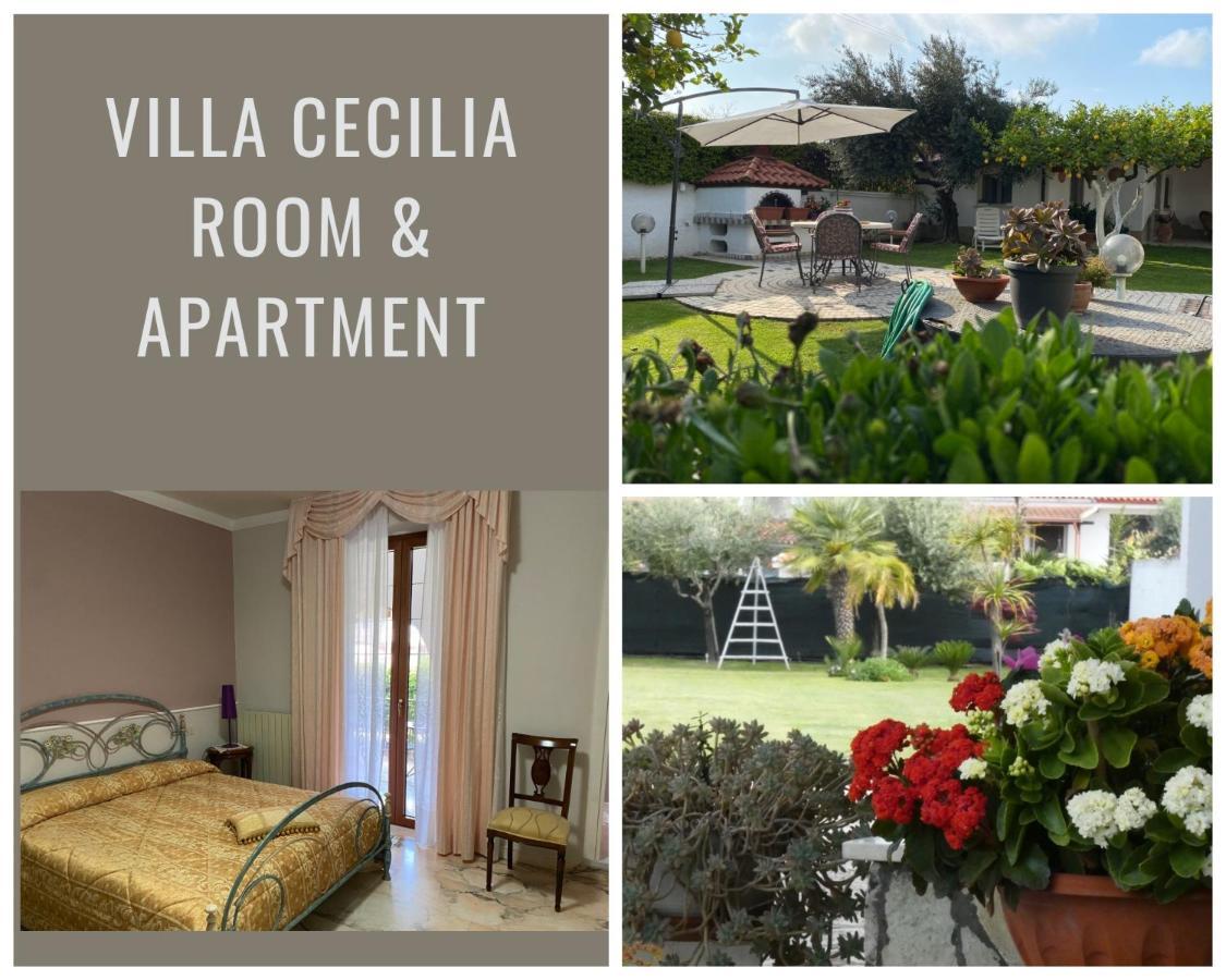 Villa Cecilia Bed And Breakfast Cellole Dış mekan fotoğraf